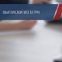 Что такое выписка из ЕГРН, как её получить и зачем она нужна?
