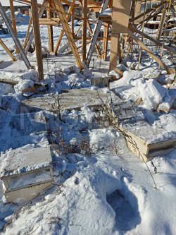 Тележка погрузочная для транспортировки рулонов стали весом до 20тн 