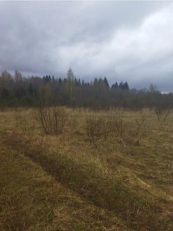 Горбунов Е.В. публичное предложение