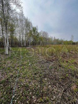 Земельный участок в Хабаровском крае, 1000 кв.м. 