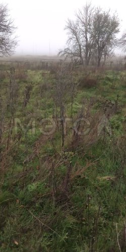 Квартира 36,8 кв.м и земельный участок 984 кв.м в Ставропольском крае 