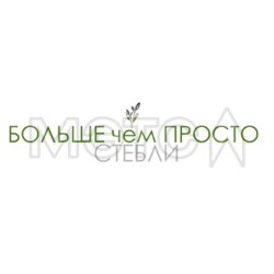 Исключительное право на товарный знак №998096 