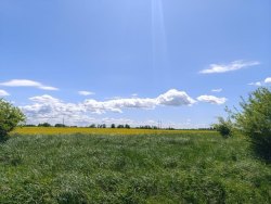Земельный участок - 88 000 +/- 104 кв. м, адрес: Калининградская обл., Гурьевский р-н, юго-западнее…