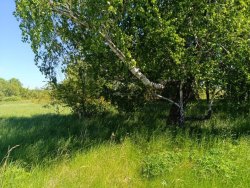 Земельный участок - 66 500 +/- 2 256 кв. м, адрес: местоположение установлено относительно…