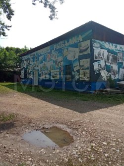 1/2 доля помещения и 1/2 доля земельного участка в Приморском крае 