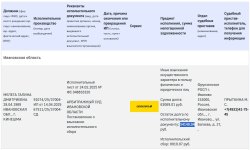 Дебиторская задолженность (невзысканный остаток) Мелеги Галины Дмитриевны 